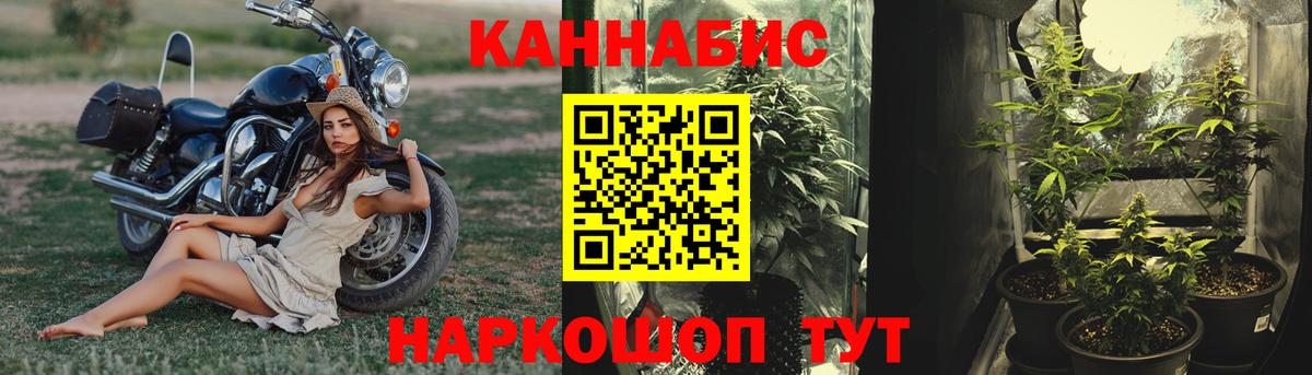 Шишки марихуана марихуана Жигулёвск